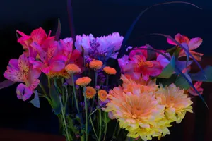 Luminous Flowers
