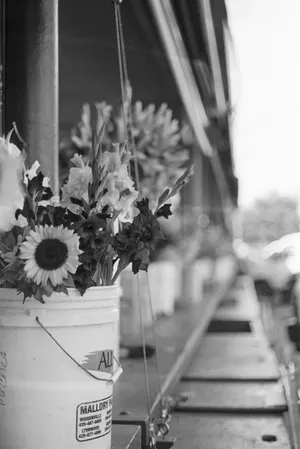 Flower Bucket - Pike Place Market